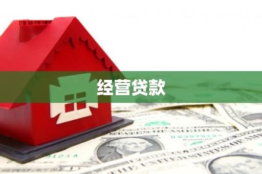 乐东经营贷款