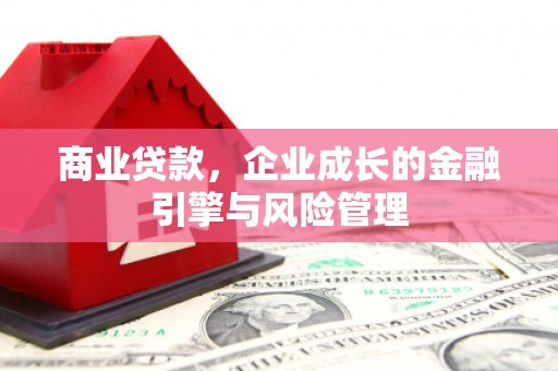 乐东商业贷款，企业成长的金融引擎与风险管理