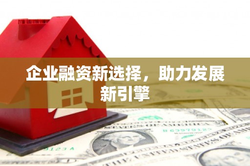 乐东企业融资新选择，助力发展新引擎