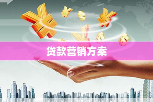 乐东贷款营销方案