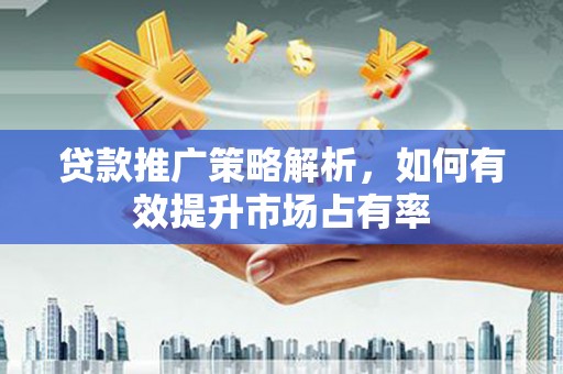 乐东贷款推广策略解析，如何有效提升市场占有率