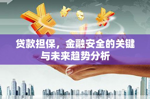 乐东贷款担保，金融安全的关键与未来趋势分析