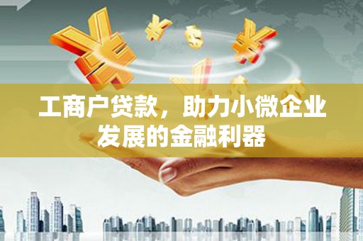乐东工商户贷款，助力小微企业发展的金融利器