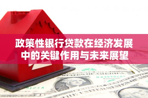 乐东政策性银行贷款在经济发展中的关键作用与未来展望