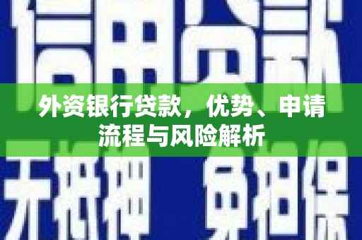 乐东外资银行贷款，优势、申请流程与风险解析