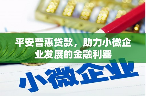 乐东平安普惠贷款，助力小微企业发展的金融利器
