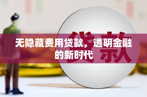 乐东无隐藏费用贷款，透明金融的新时代