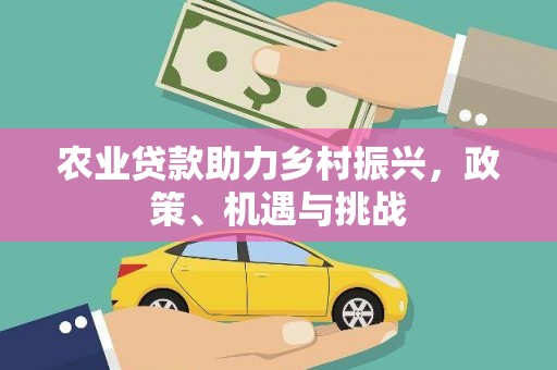 乐东农业贷款助力乡村振兴，政策、机遇与挑战