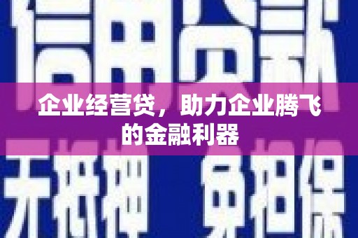 乐东企业经营贷，助力企业腾飞的金融利器