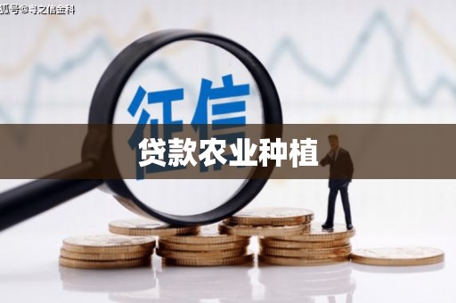乐东贷款农业种植