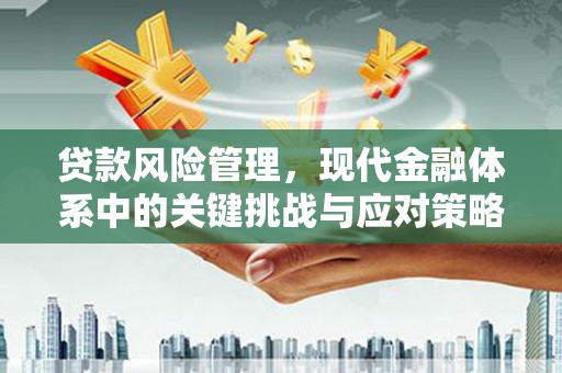 乐东贷款风险管理，现代金融体系中的关键挑战与应对策略
