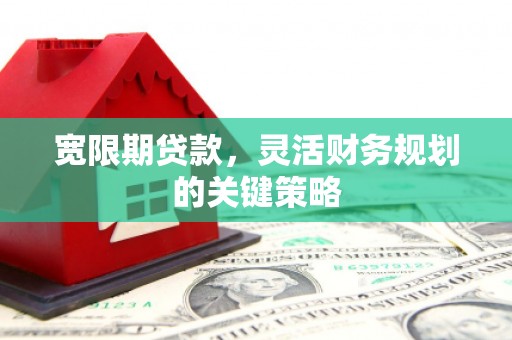 乐东宽限期贷款，灵活财务规划的关键策略