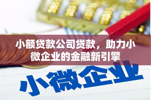 乐东小额贷款公司贷款，助力小微企业的金融新引擎