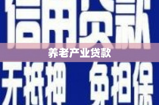 乐东养老产业贷款
