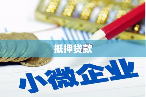 乐东抵押贷款