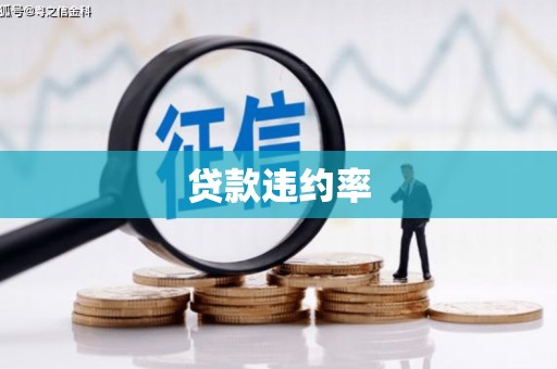 乐东贷款违约率