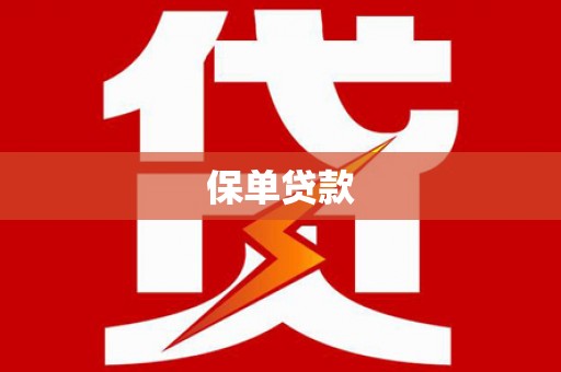 乐东保单贷款