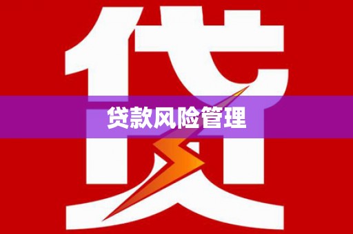 乐东贷款风险管理