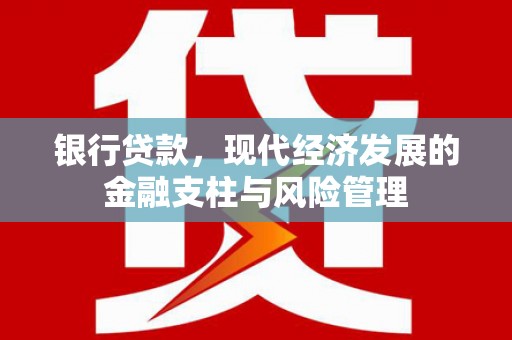 乐东银行贷款，现代经济发展的金融支柱与风险管理