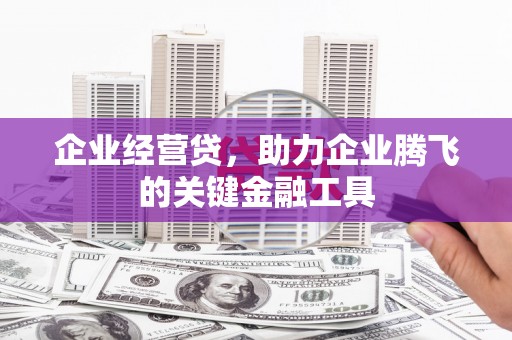 乐东企业经营贷，助力企业腾飞的关键金融工具