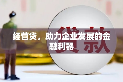 乐东经营贷，助力企业发展的金融利器