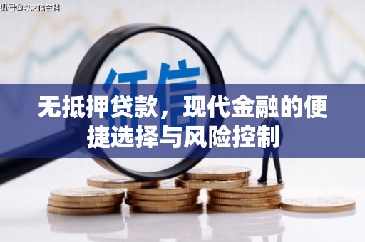 乐东无抵押贷款，现代金融的便捷选择与风险控制