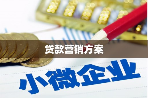 乐东贷款营销方案
