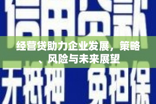 乐东经营贷助力企业发展，策略、风险与未来展望