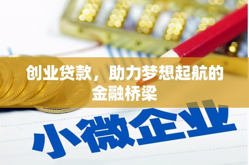 乐东创业贷款，助力梦想起航的金融桥梁