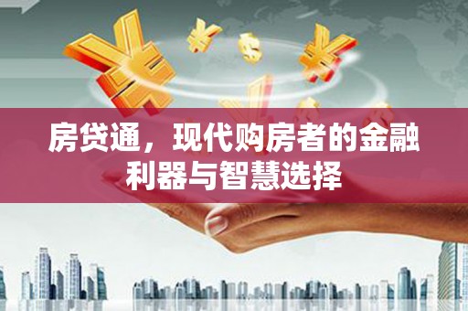 乐东房贷通，现代购房者的金融利器与智慧选择
