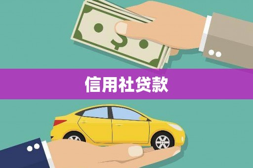 乐东信用社贷款