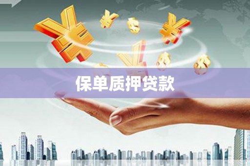 乐东保单质押贷款