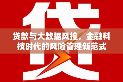 乐东贷款与大数据风控，金融科技时代的风险管理新范式