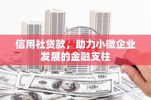 乐东信用社贷款，助力小微企业发展的金融支柱