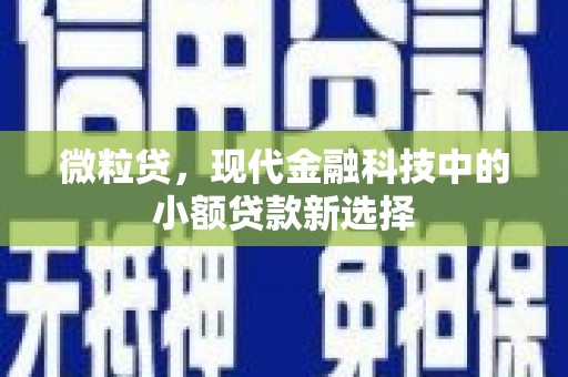 乐东微粒贷，现代金融科技中的小额贷款新选择
