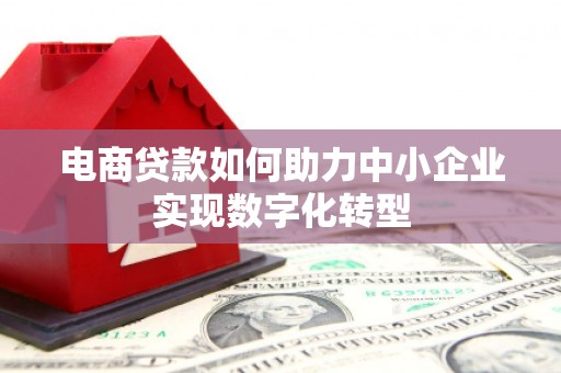 乐东电商贷款如何助力中小企业实现数字化转型