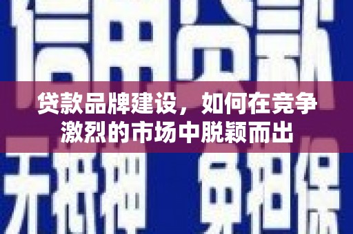 乐东贷款品牌建设，如何在竞争激烈的市场中脱颖而出