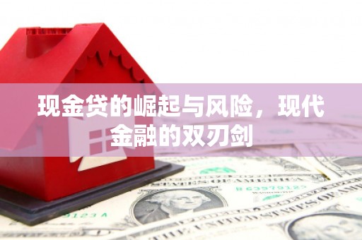 乐东现金贷的崛起与风险，现代金融的双刃剑