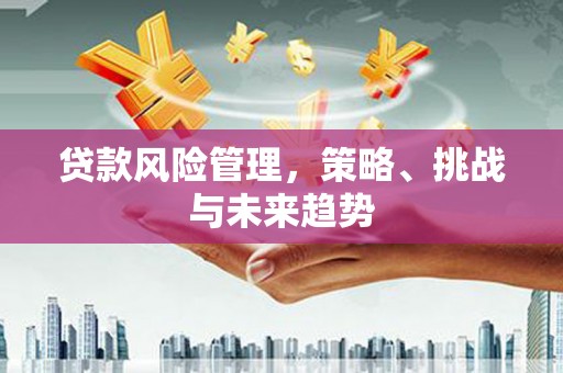 乐东贷款风险管理，策略、挑战与未来趋势