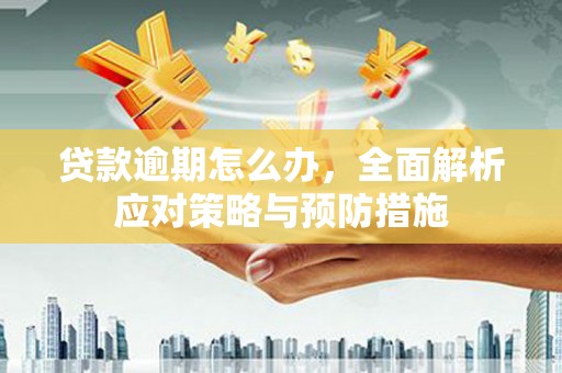 乐东贷款逾期怎么办，全面解析应对策略与预防措施