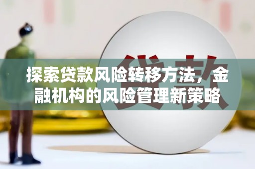 乐东探索贷款风险转移方法，金融机构的风险管理新策略