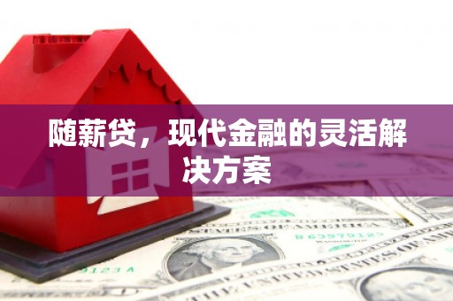 乐东随薪贷，现代金融的灵活解决方案