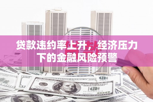乐东贷款违约率上升，经济压力下的金融风险预警