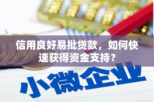 乐东信用良好易批贷款，如何快速获得资金支持？
