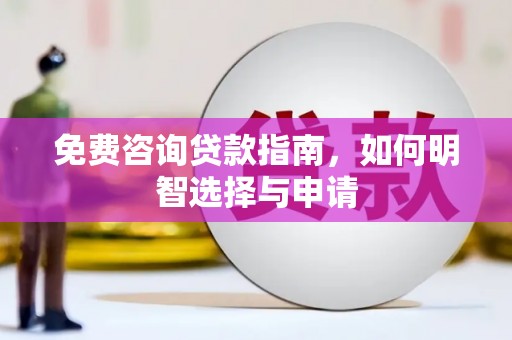 乐东免费咨询贷款指南，如何明智选择与申请