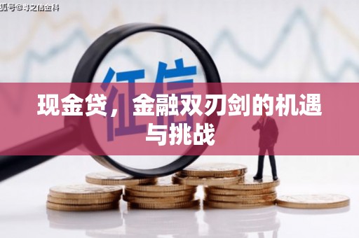 乐东现金贷，金融双刃剑的机遇与挑战