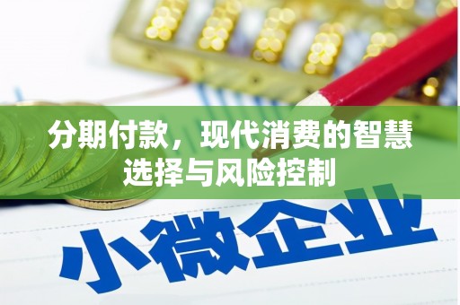 乐东分期付款，现代消费的智慧选择与风险控制