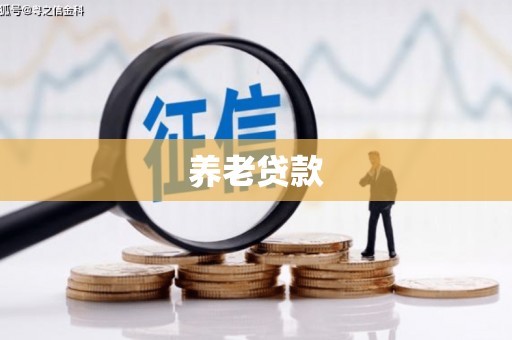 乐东养老贷款