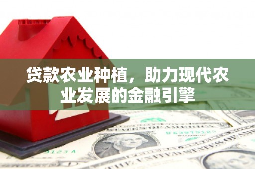 乐东贷款农业种植，助力现代农业发展的金融引擎