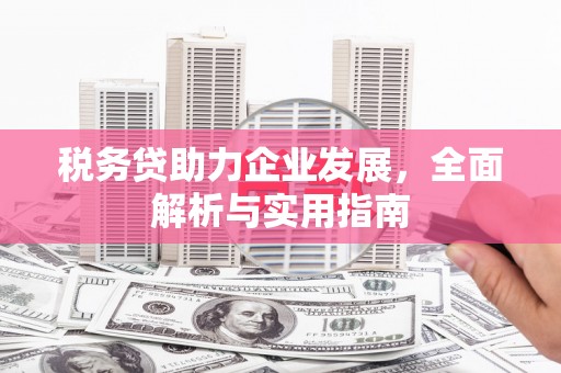 乐东税务贷助力企业发展，全面解析与实用指南